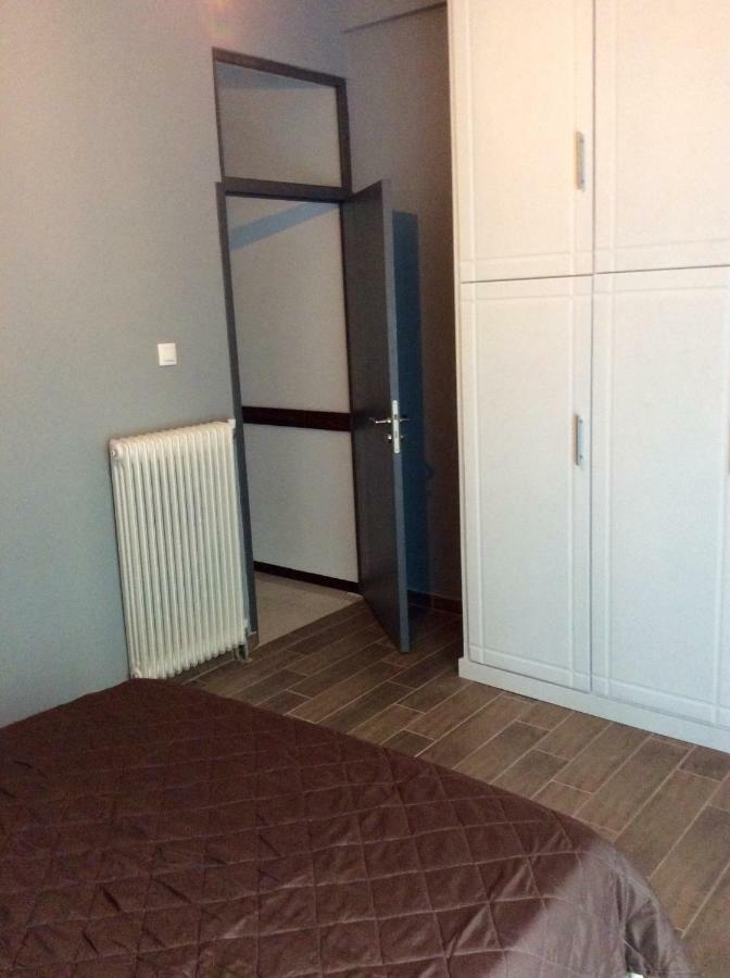 אתונה Renovated Apartment מראה חיצוני תמונה